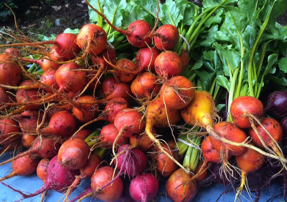 How much food do you waste?